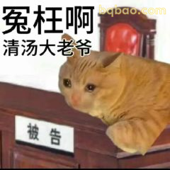 沙雕搞笑表情包合集 11