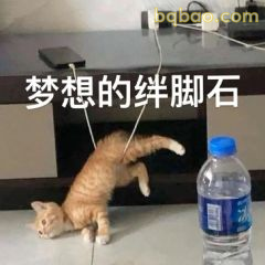 沙雕搞笑表情包合集 12
