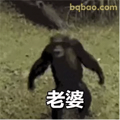 搞笑动图表情包合集 4