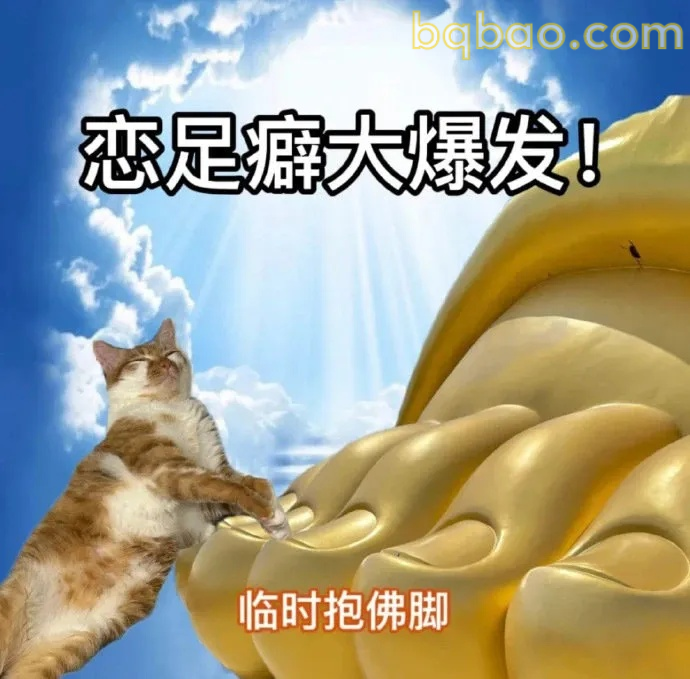 神经质表情包合集 5