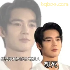 神经质表情包合集 6