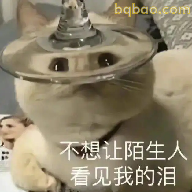 神经质表情包合集 8