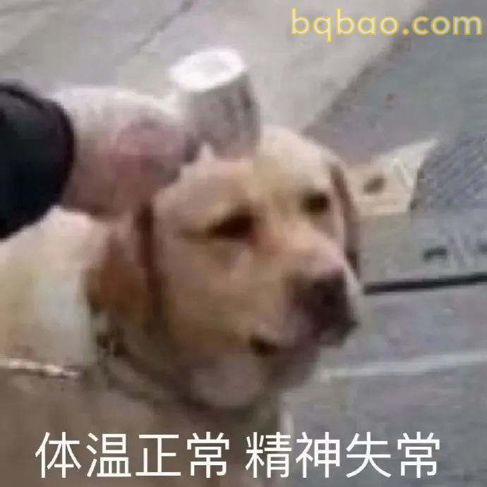 神经质表情包合集 11