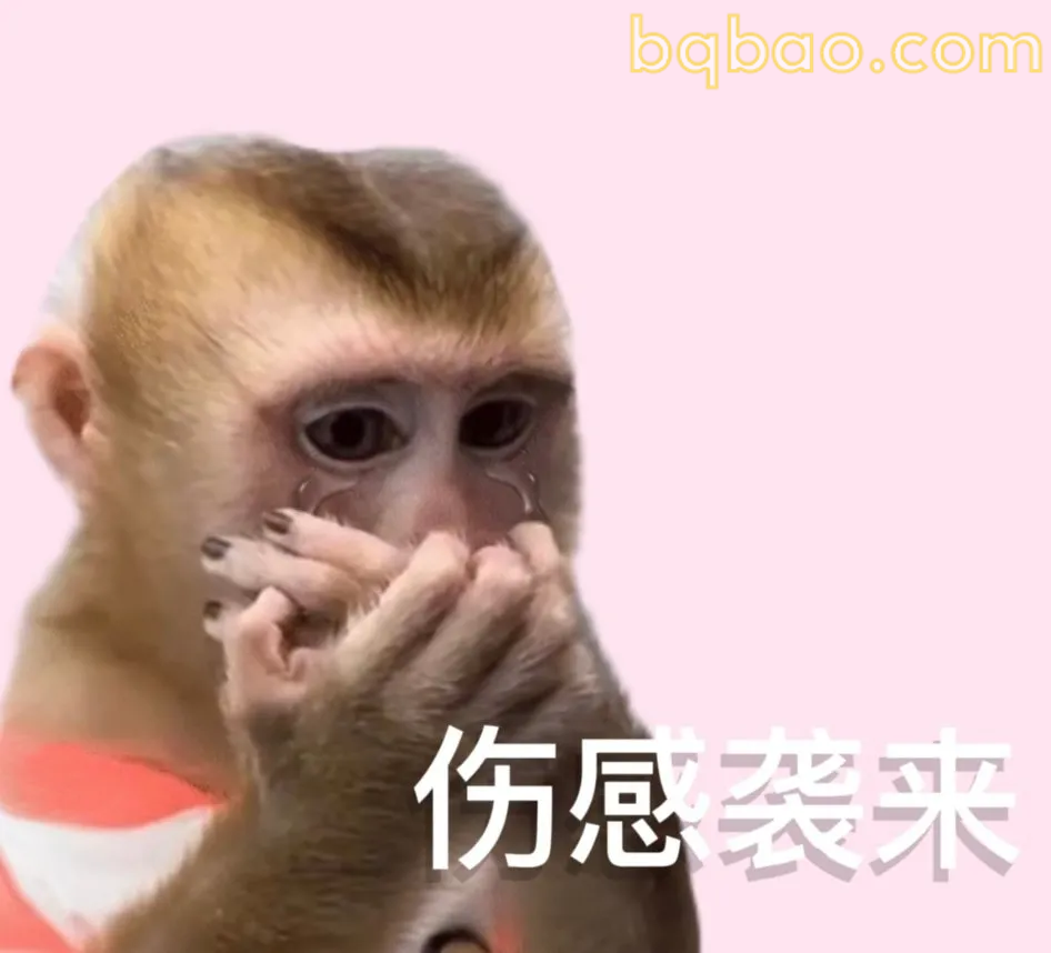 神经质表情包合集 15