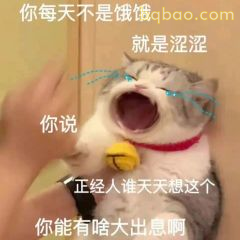 你每天不是饿饿就是涩涩
