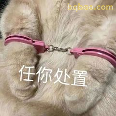 在线钓哥哥 8