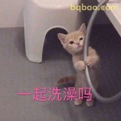 在线钓哥哥 9