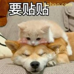 在线钓哥哥 10