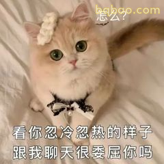 跟我聊天很委屈你吗