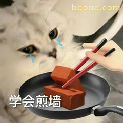 谐音梗表情包合集 1