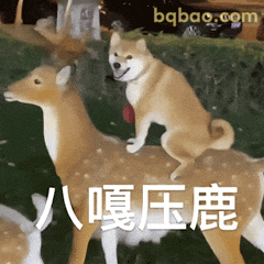 谐音梗表情包合集 11