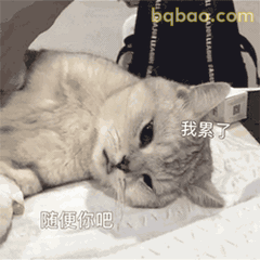 emo动图表情包合集 1