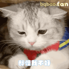 emo动图表情包合集 7