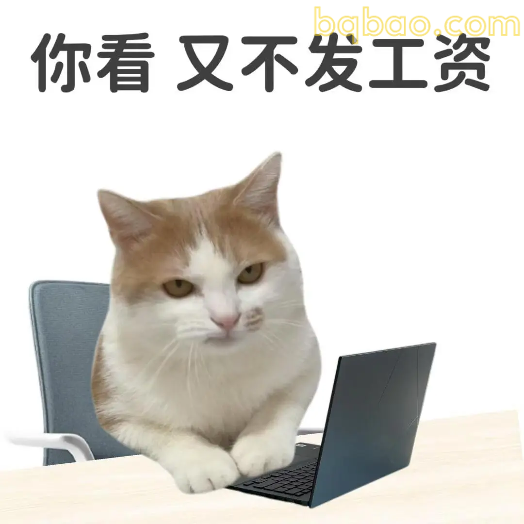 打工猫表情包合集 3