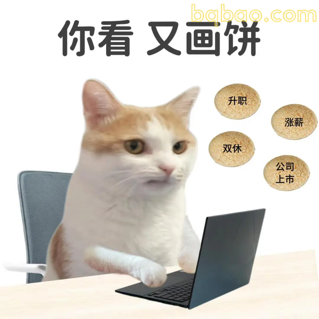 打工猫表情包合集 4