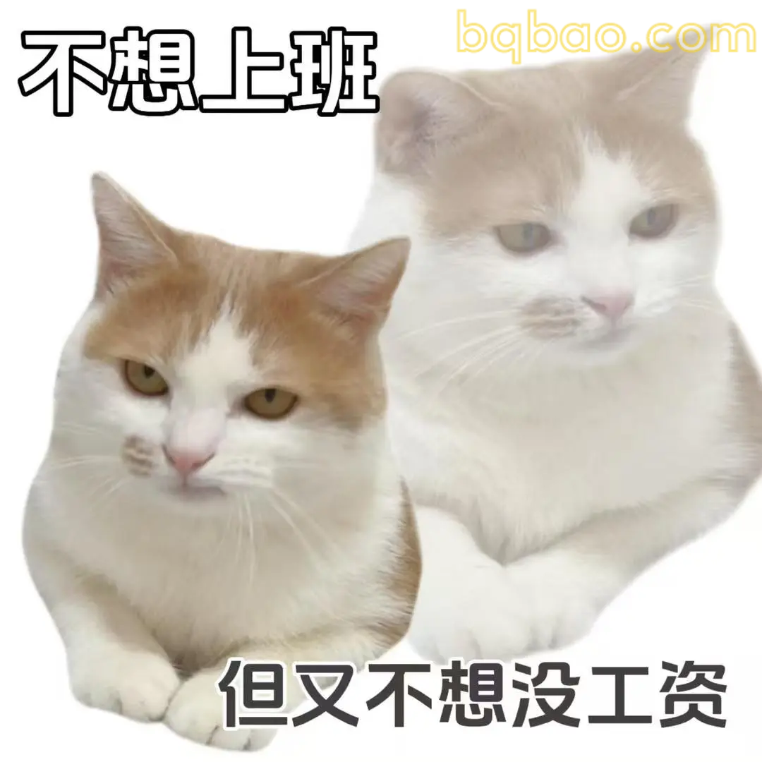 打工猫表情包合集 5