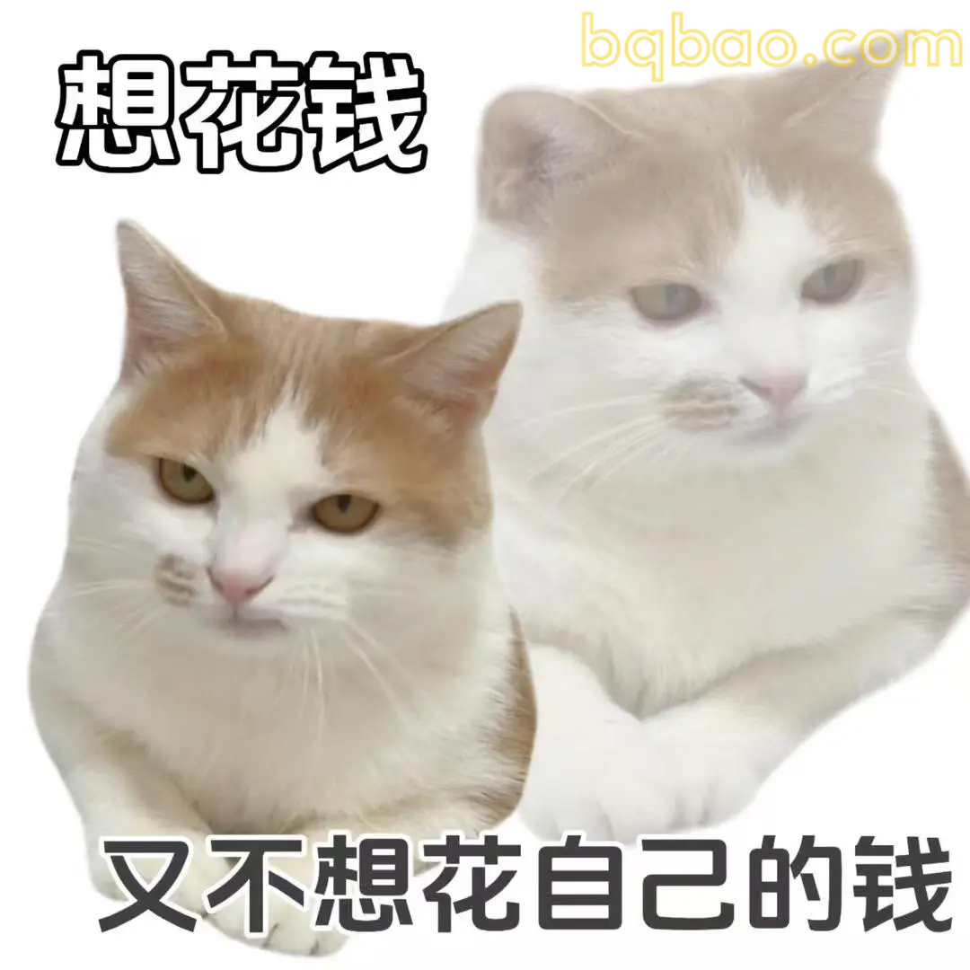 打工猫表情包合集 7