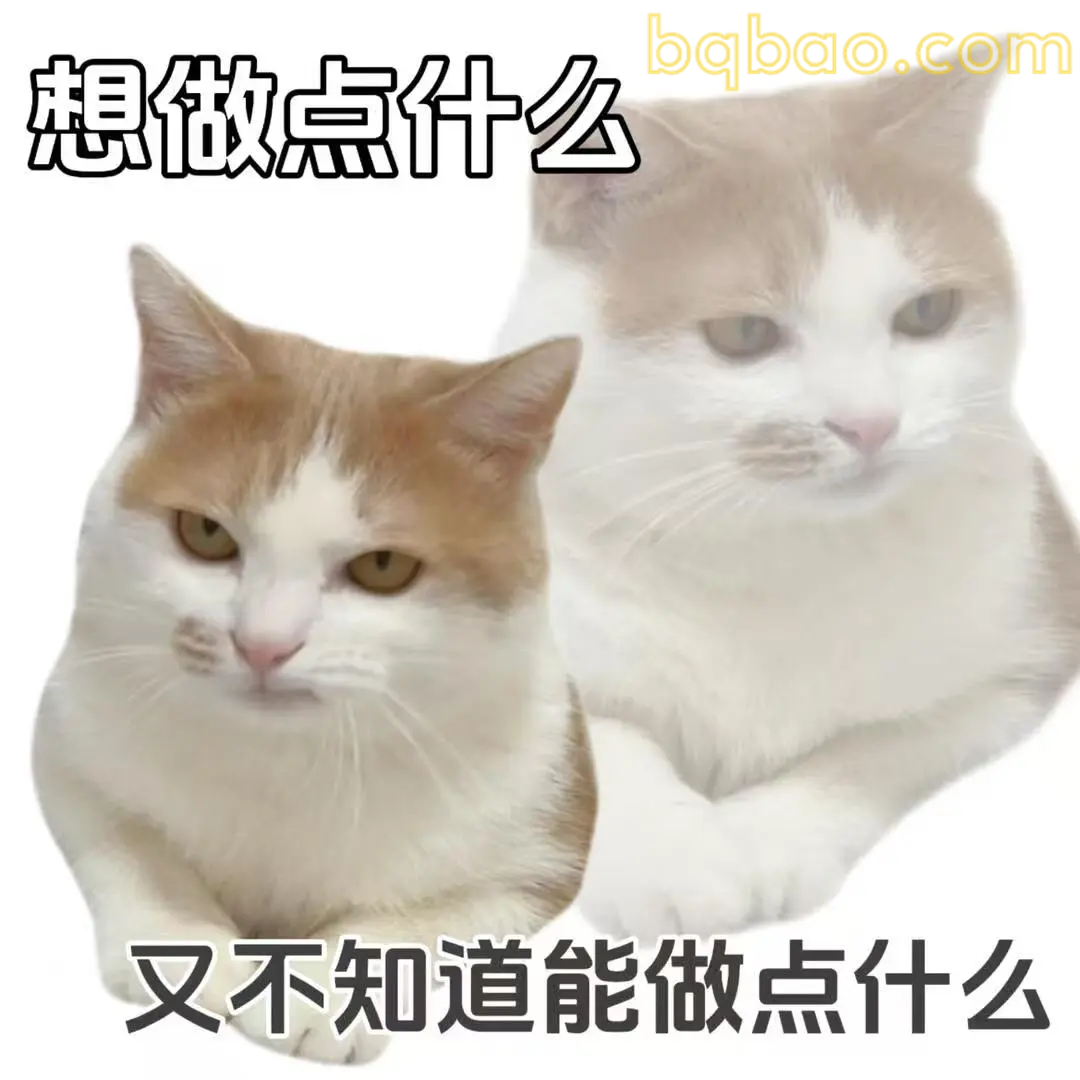 打工猫表情包合集 8