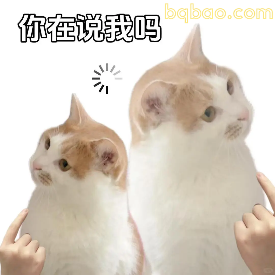 打工猫表情包合集 9