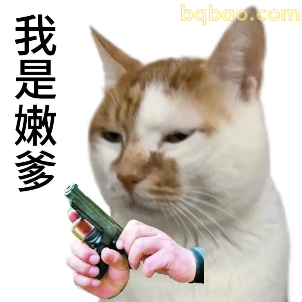 打工猫表情包合集 10