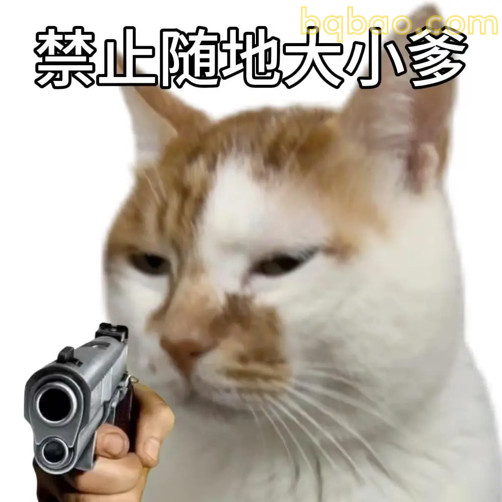 打工猫表情包合集 11