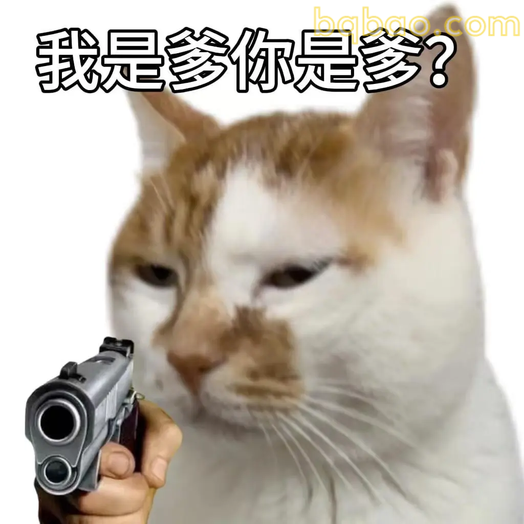 打工猫表情包合集 12