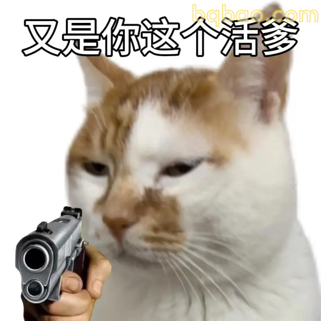 打工猫表情包合集 13