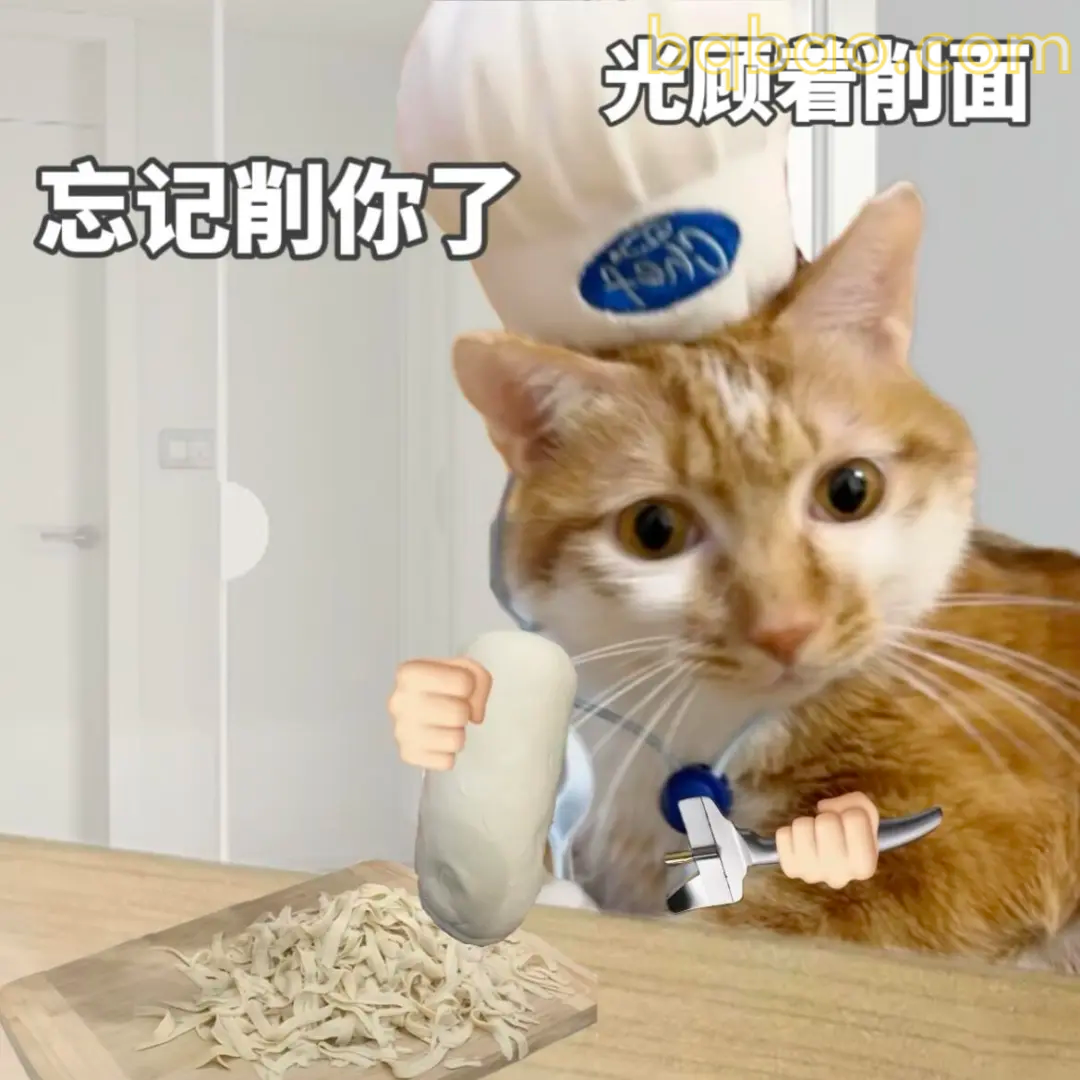 打工猫表情包合集 14