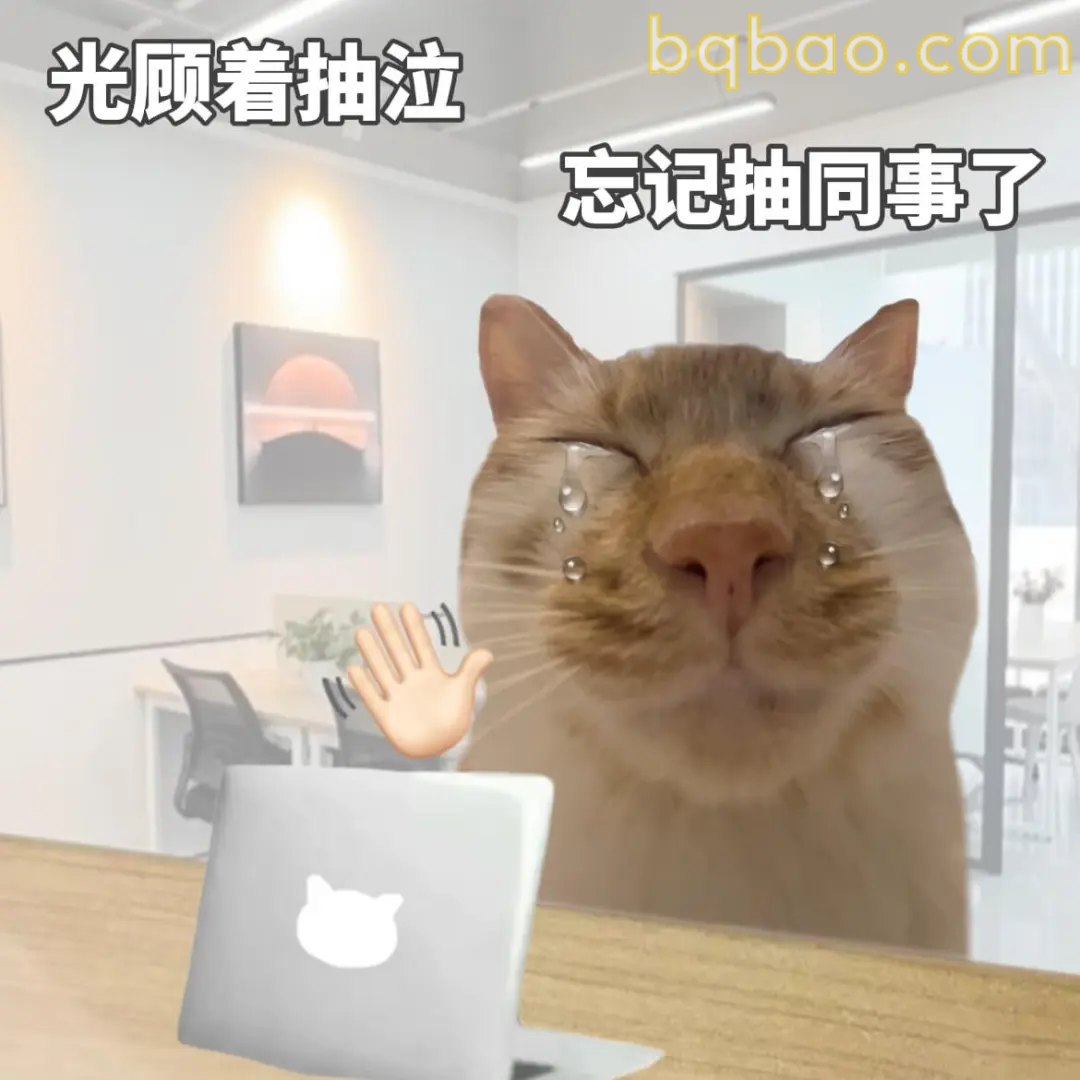 打工猫表情包合集 15