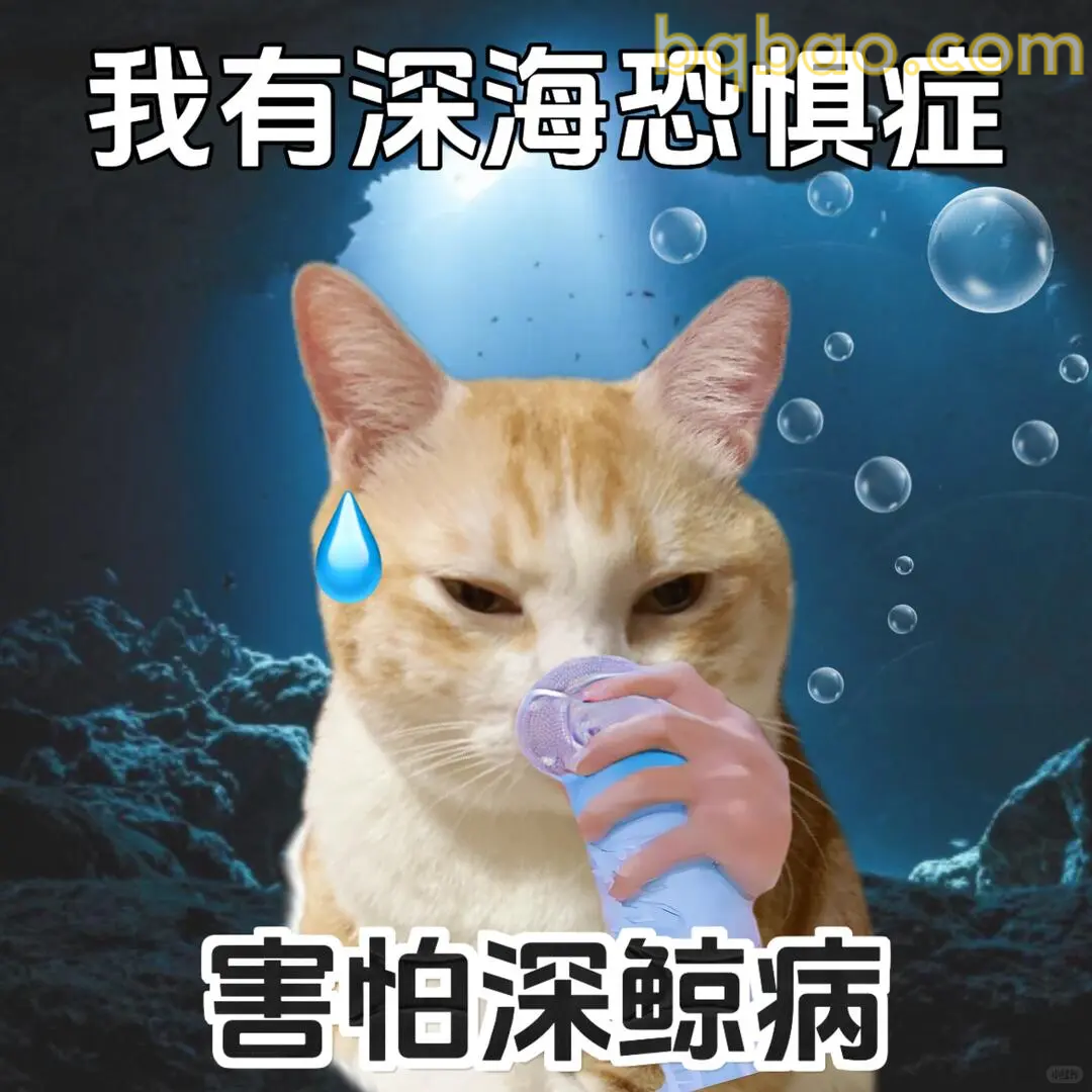 打工猫表情包合集 16