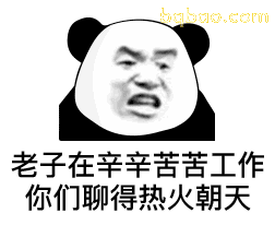 沙雕熊猫头表情包合集-1 4
