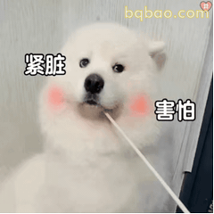 萌宠动图合集 3