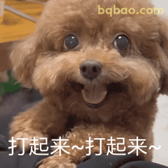 萌宠动图合集 6