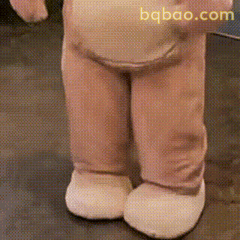 萌宠动图合集 8