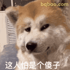 萌宠动图合集 9