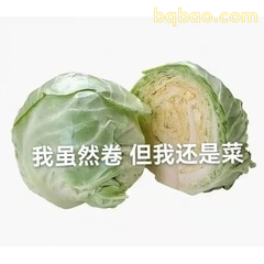 51张 超Nice的表情包 #02