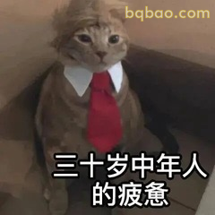 51张 超Nice的表情包 #14