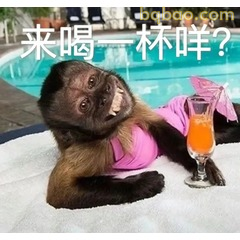 51张 超Nice的表情包 #18