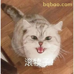 51张 超Nice的表情包 #19