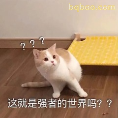 51张 超Nice的表情包 #28