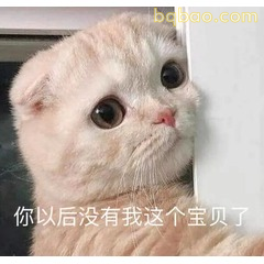 51张 超Nice的表情包 #35