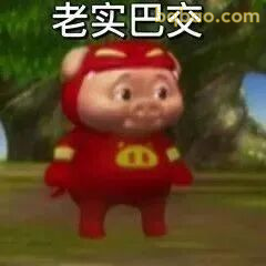猪猪侠表情包合集 9