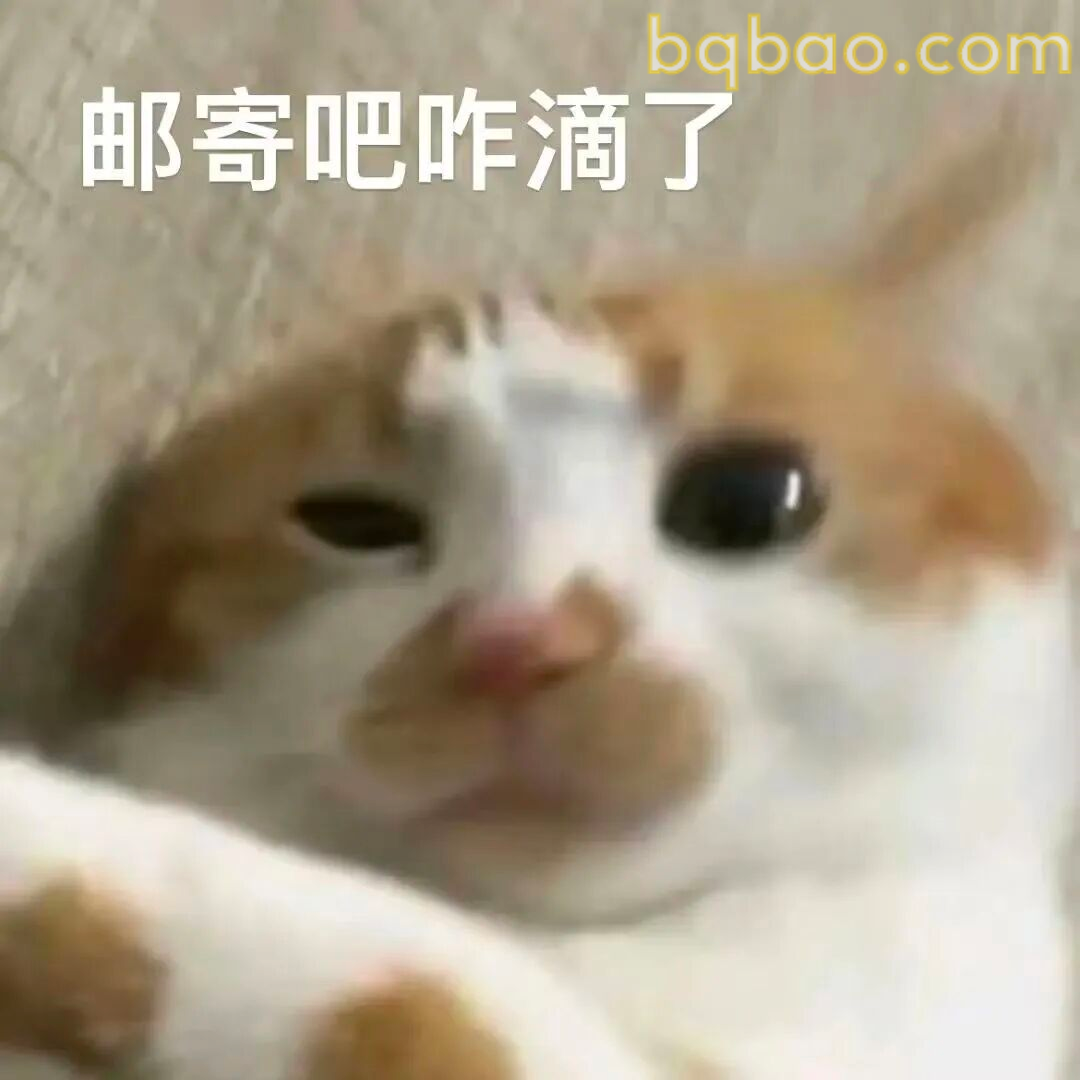 猫咪表情包合集 1