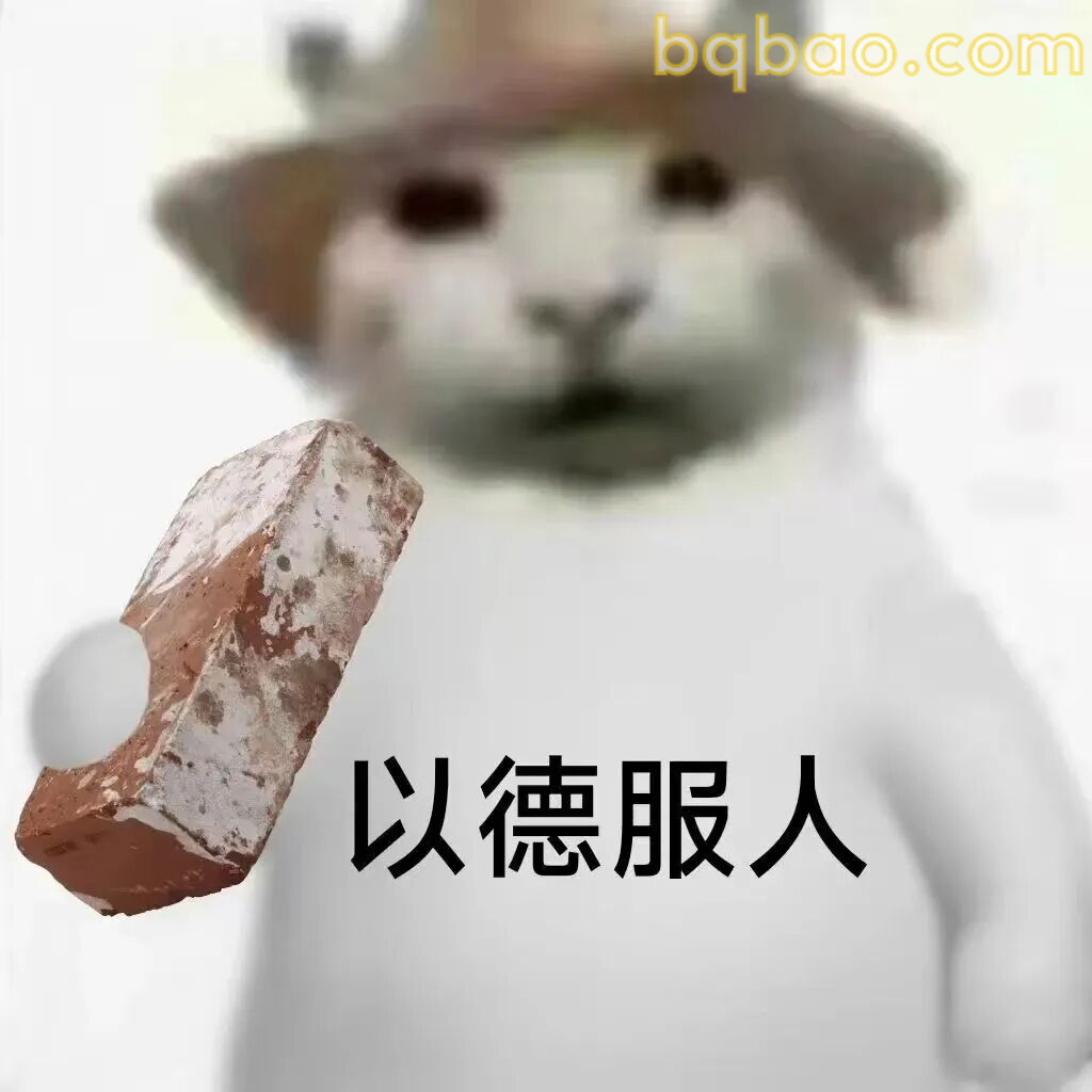 猫咪表情包合集 2