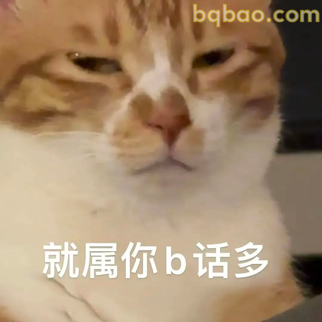 猫咪表情包合集 3