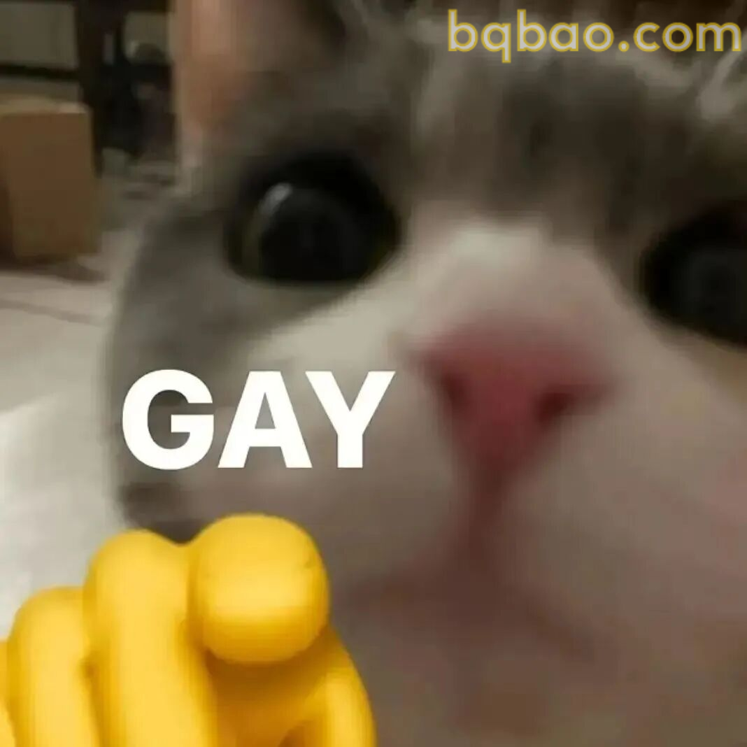 猫咪表情包合集 5