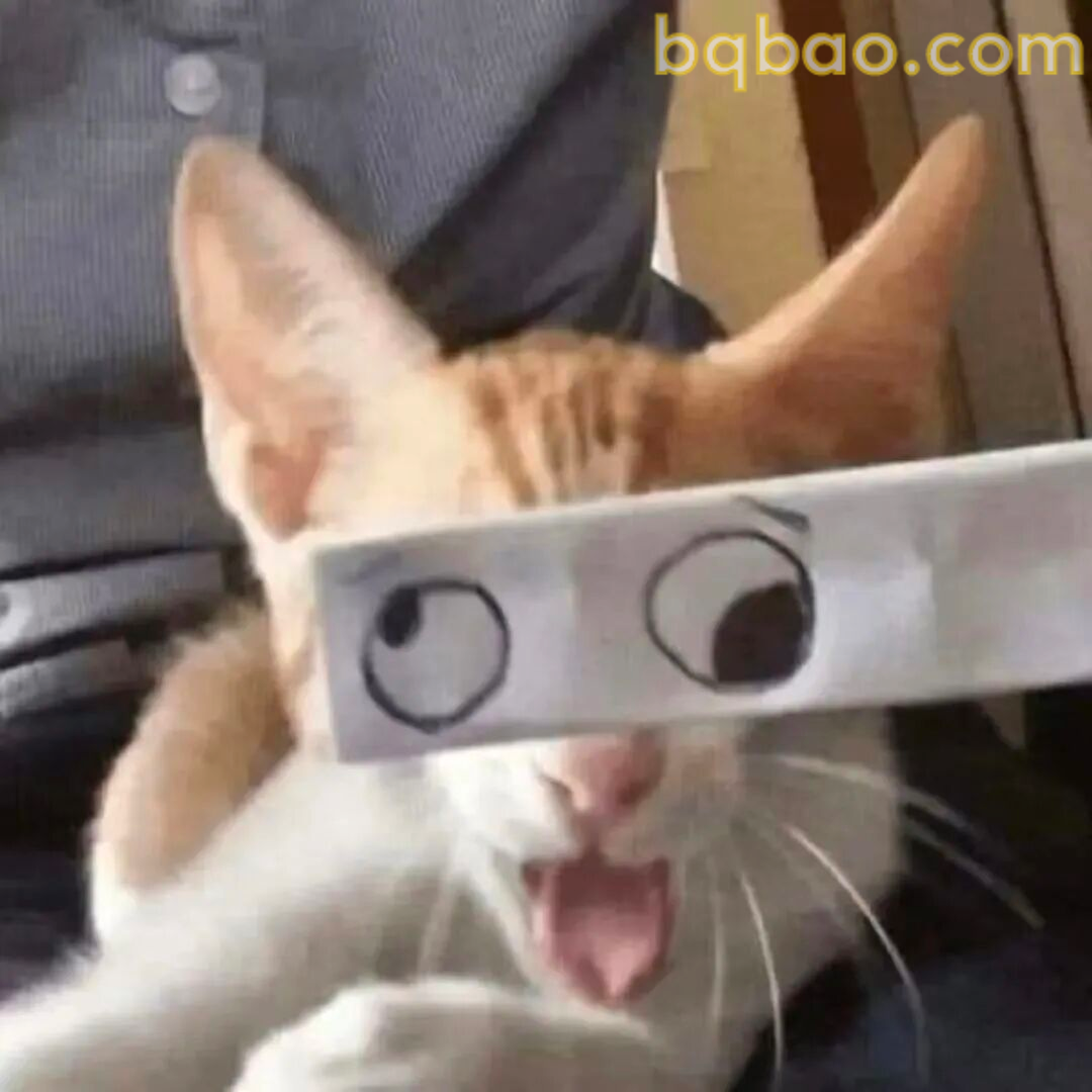 猫咪表情包合集 6