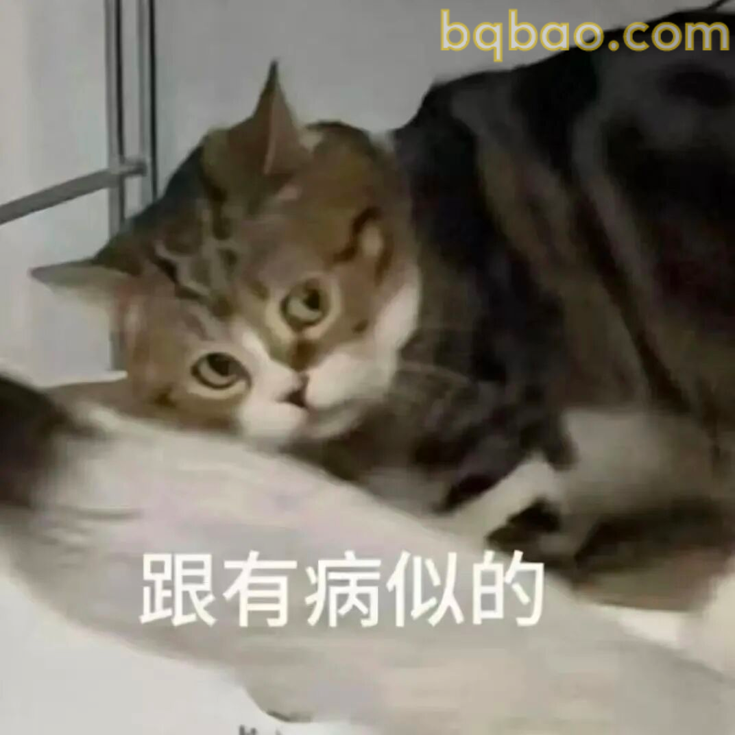 猫咪瞪眼 · 震惊脸