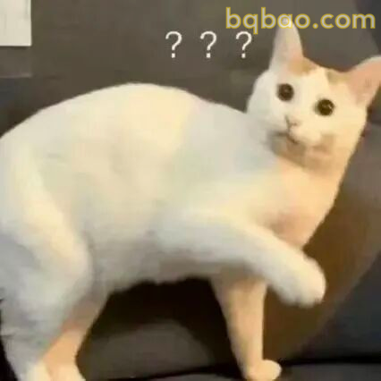猫咪表情包合集 10