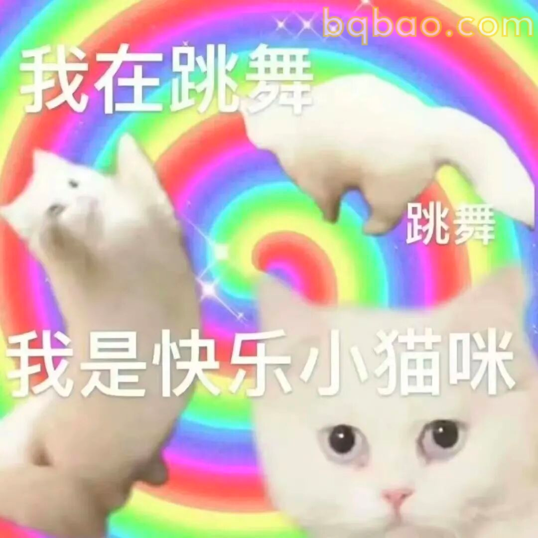 猫咪揣手 · 喵生巅峰